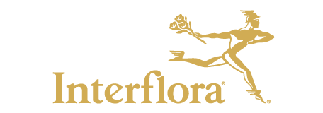 Blombud Interflora